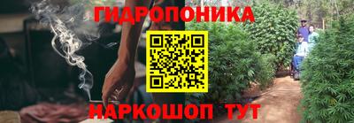 мдпв Кандалакша