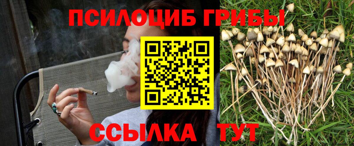 Псилоцибиновые грибы Psilocybine cubensis  Вход с VPN  Псилоцибиновые грибы Psilocybe  Сокол 