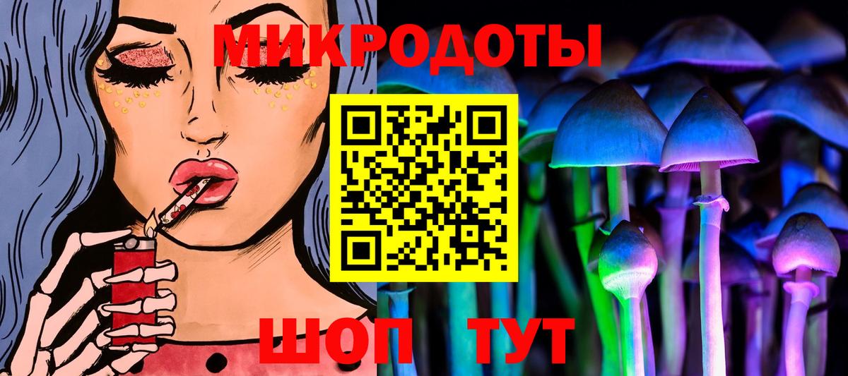 Галлюциногенные грибы Psilocybine cubensis Сокол
