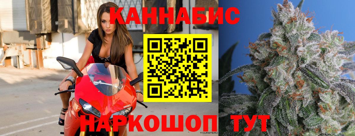 Бошки Шишки гибрид Сокол